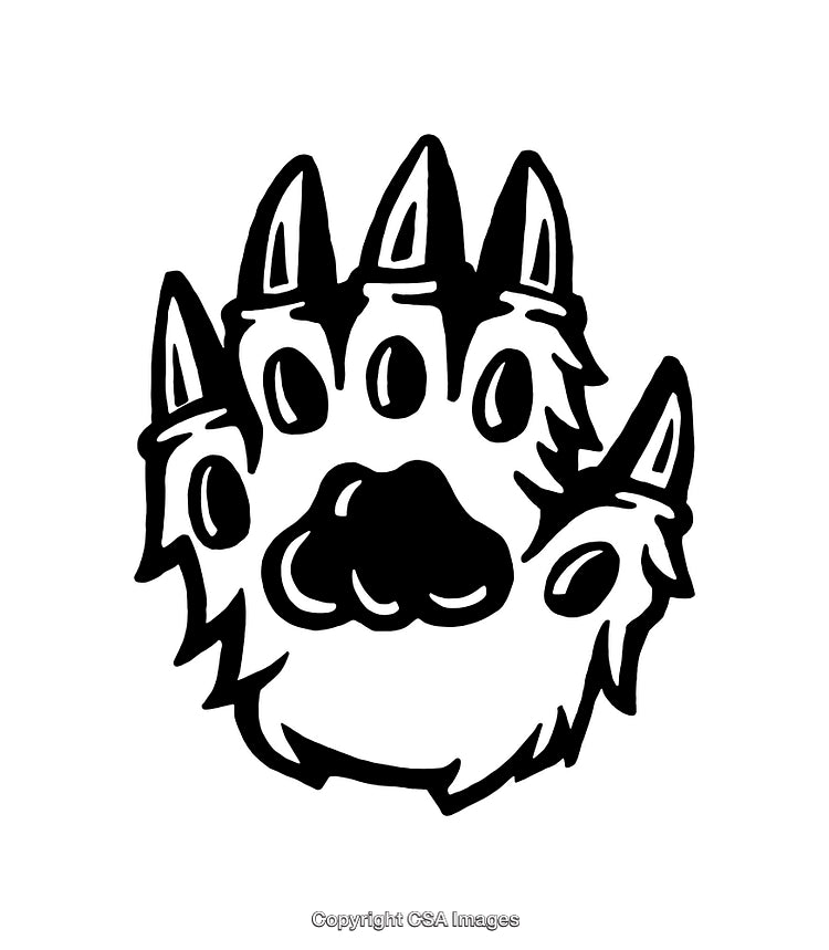 Black and White Bear Paw Line Art Illustration with Claws
