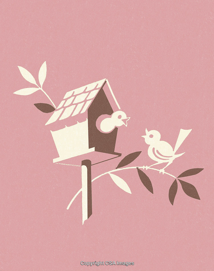 Charming Stylized Illustration of Birds and Birdhouse With Leaves on Pink Background