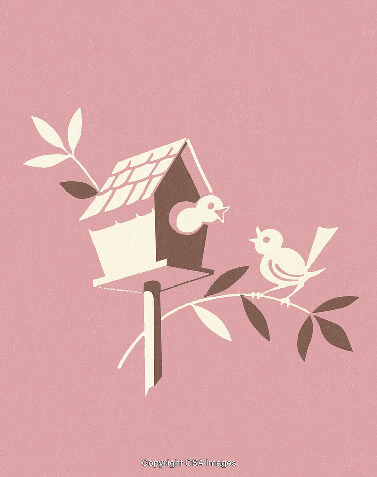 Charming Stylized Illustration of Birds and Birdhouse With Leaves on Pink Background