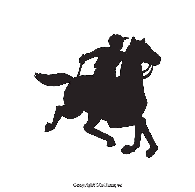 Silhouette of a Rider on a Galloping Horse