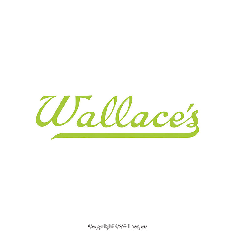 Stylized Green Typography on White Background Emphasizing Wallace's Brand