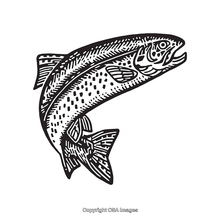 Black and White Line Art Illustration of a Stylized Jumping Fish