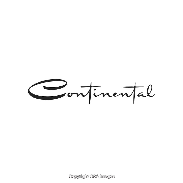 Elegant Logo Design Featuring Distinctive Script Typography on White Background
