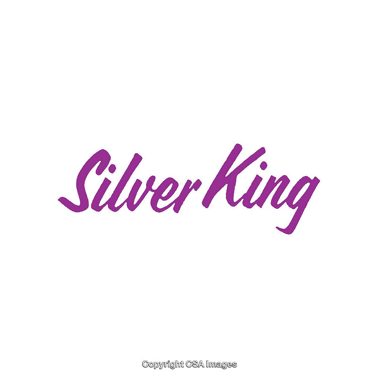 Purple Styled Silver King Text Illustration on White Background