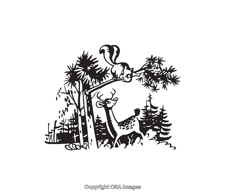 Charming Forest Scene Featuring a Deer and a Squirrel in Black and White
