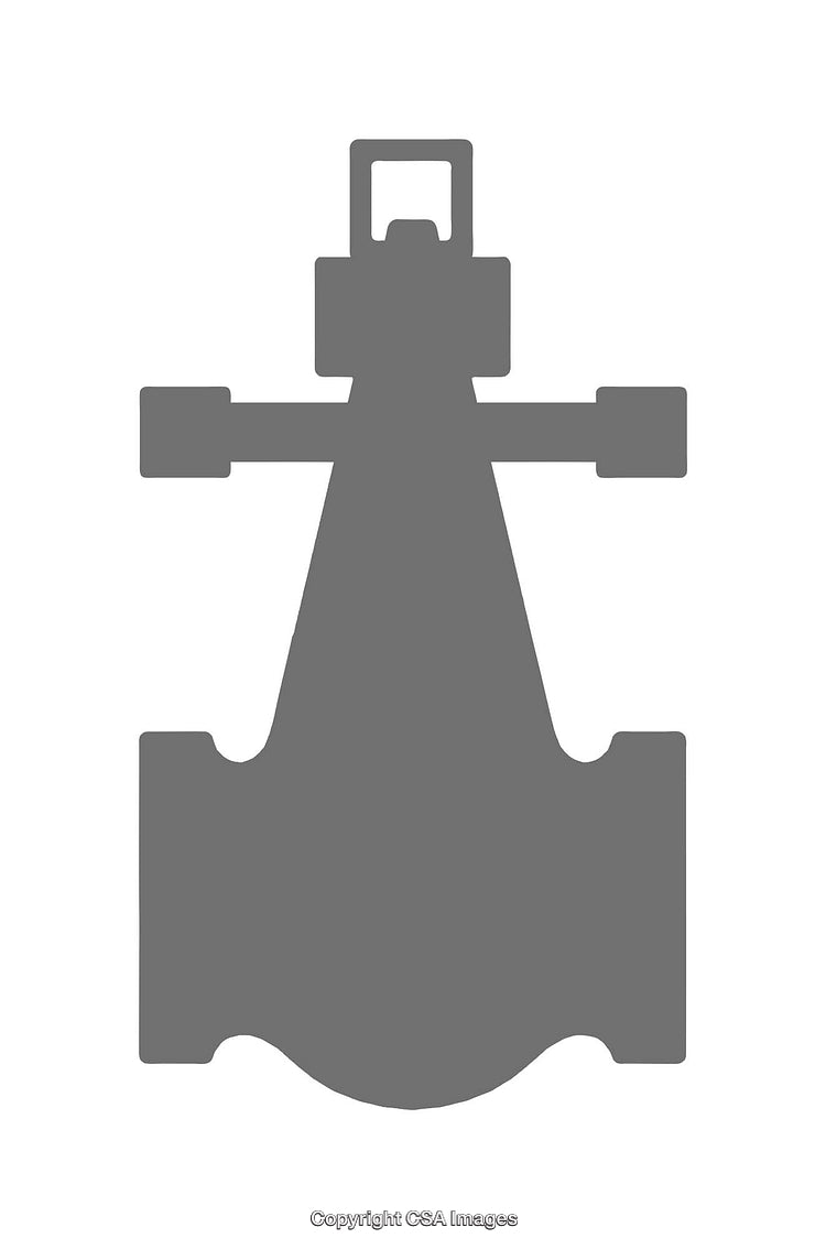 Minimalistic Black Silhouette of a Racing Car from Top View