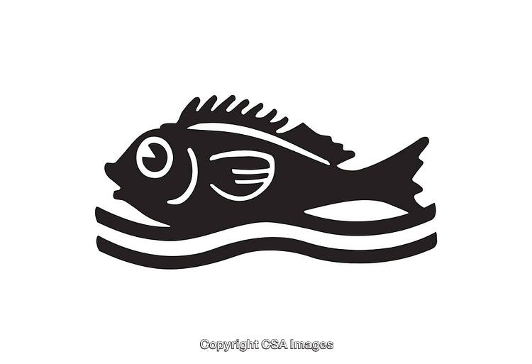 Black And White Stylized Fish Illustration With Minimalist Design Style
