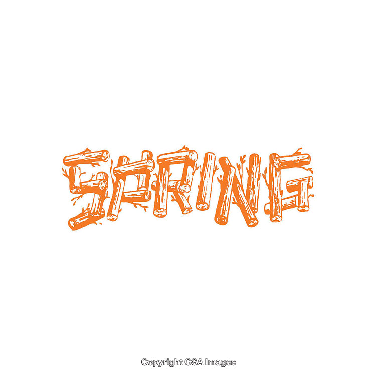 Stylized Text Design Featuring "Spring" in Rustic Orange Theme Illustration