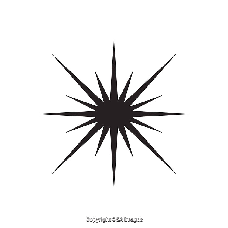 Black Starburst Abstract Shape Icon on White Background