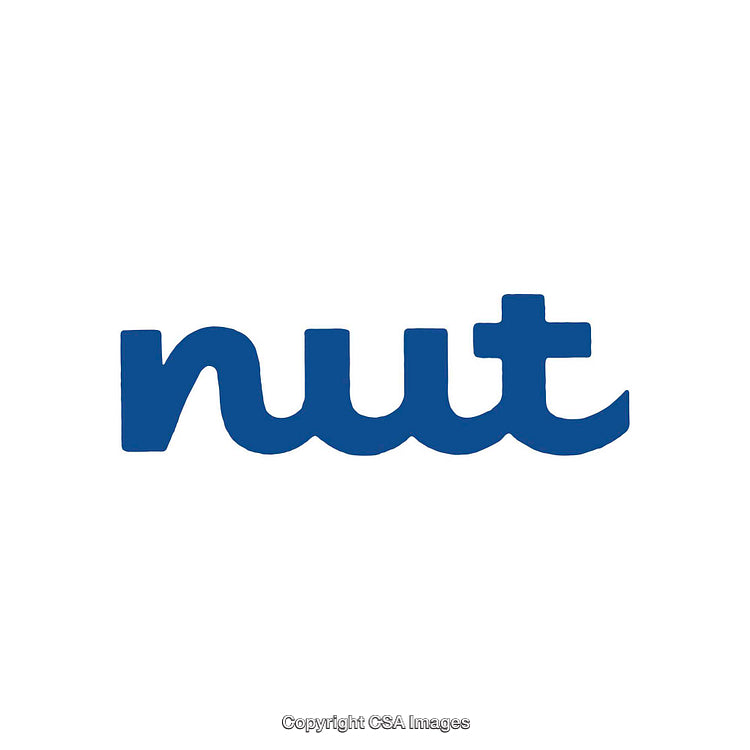 Blue Nut Word Logo on White Background in Minimal Design