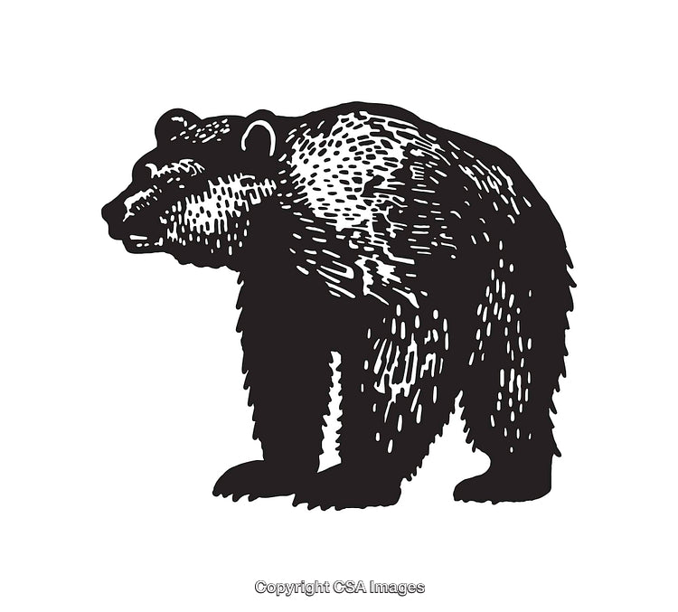 Black and White Line Art Illustration of a Majestic Bear Profile