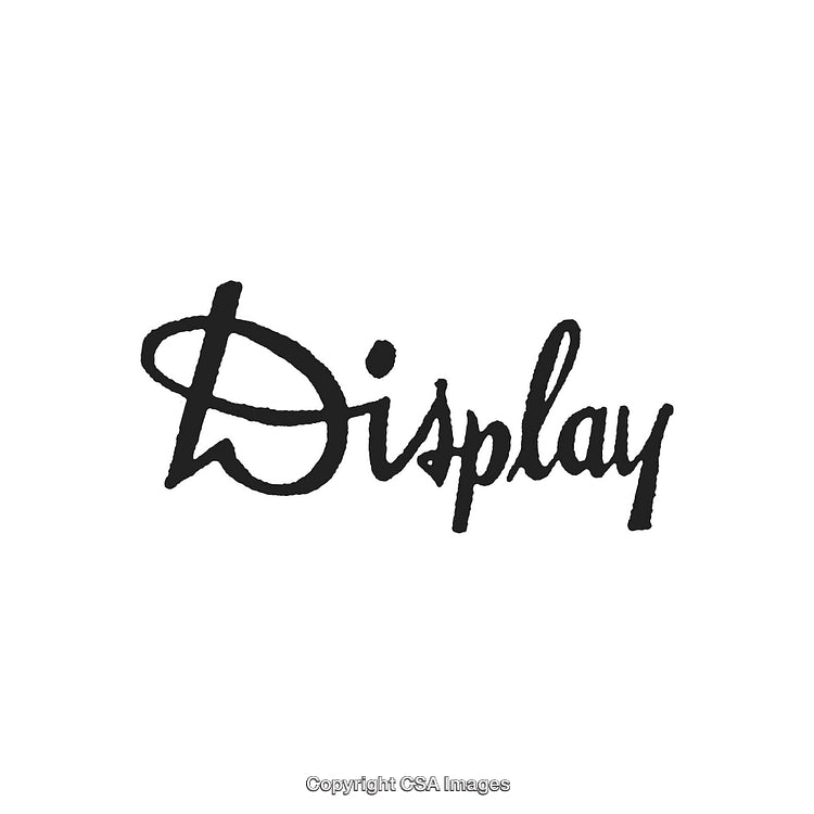 Stylized Script Logo Design Featuring the Word 'Display' on a White Background