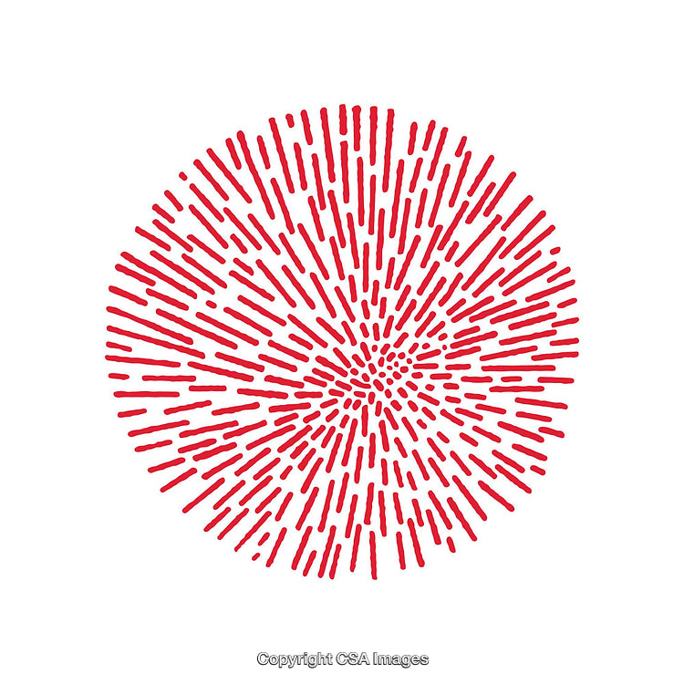 Abstract Red Circular Pattern With Radiating Lines on a White Background