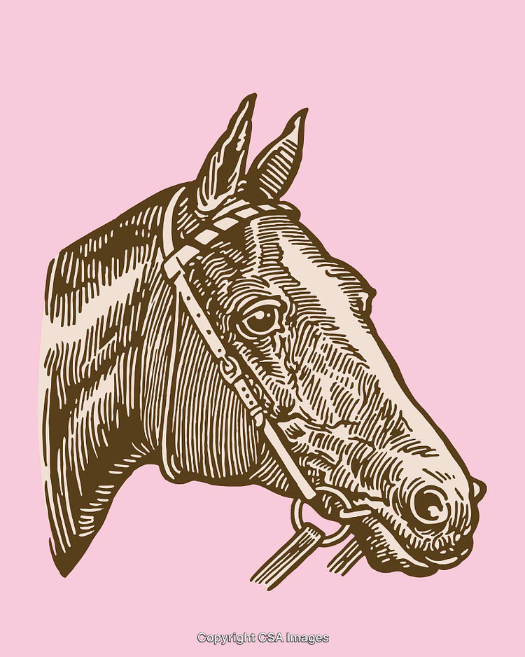 Detailed Line Art Illustration of a Horse on Pink Background