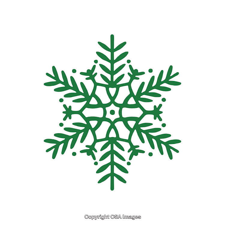 Green Snowflake Design Featuring Winter-Themed Decorative Patterns