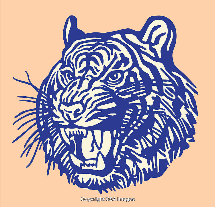 Blue Tiger Line Art On Soft Peach Background Illustration