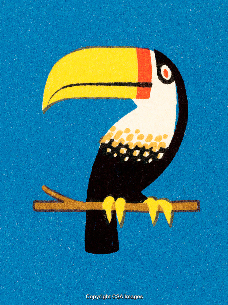 Colorful Illustration of a Toucan Bird Perched on a Branch