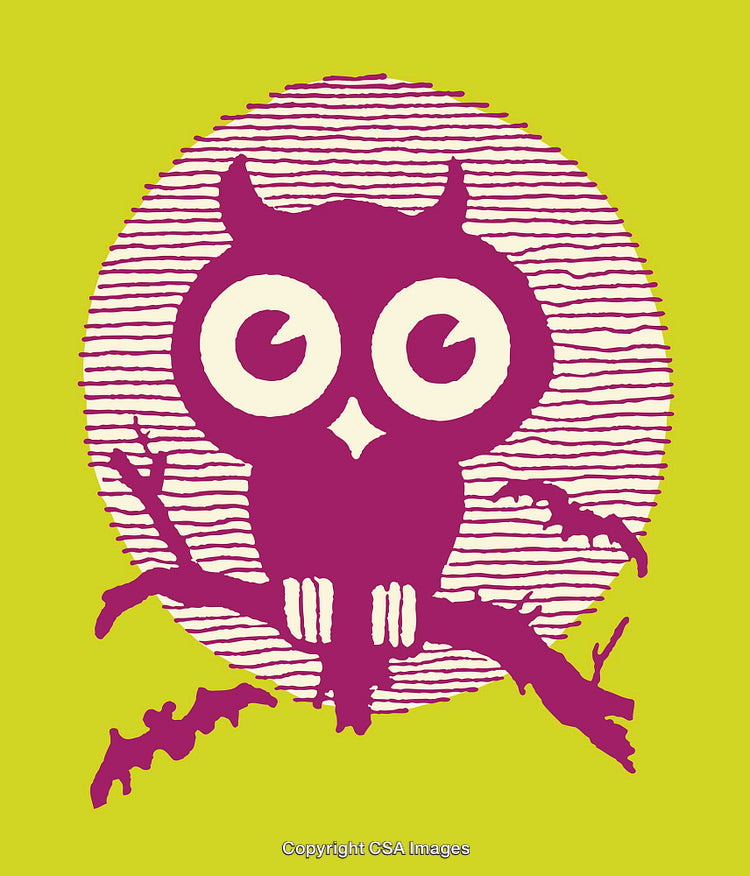 Vibrant Owl Illustration with Bold Colors and Stylized Design