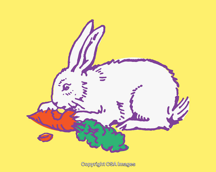 Colorful Line Art Illustration of Rabbit Eating a Carrot on Yellow Background