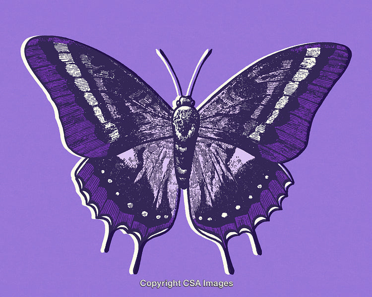 Elegant Purple Butterfly Illustration on a Minimalist Purple Background