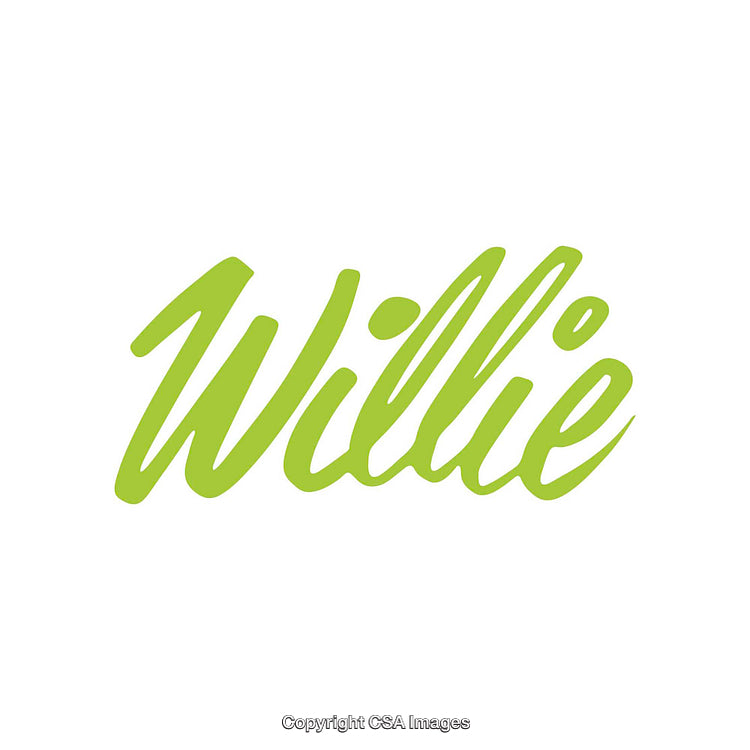 Green Scripted Text Design on a White Background