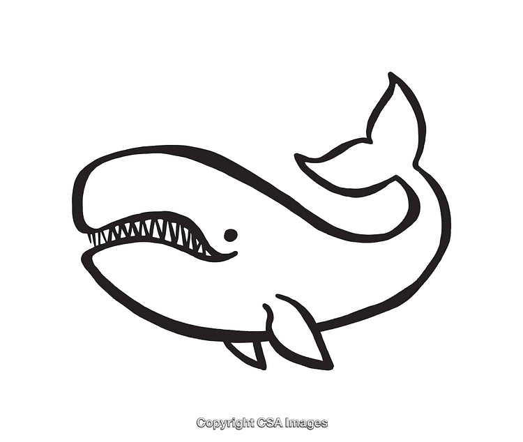 Cartoon Whale Line Art Illustration in Black and White Design Style