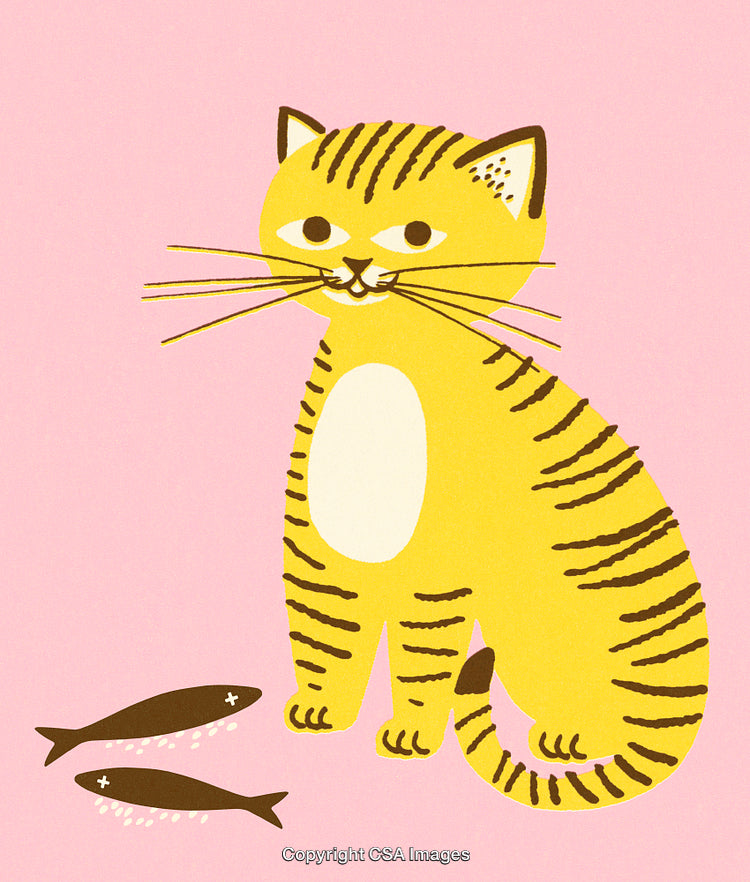 Illustration of a Tabby Cat with Fish on a Pink Background