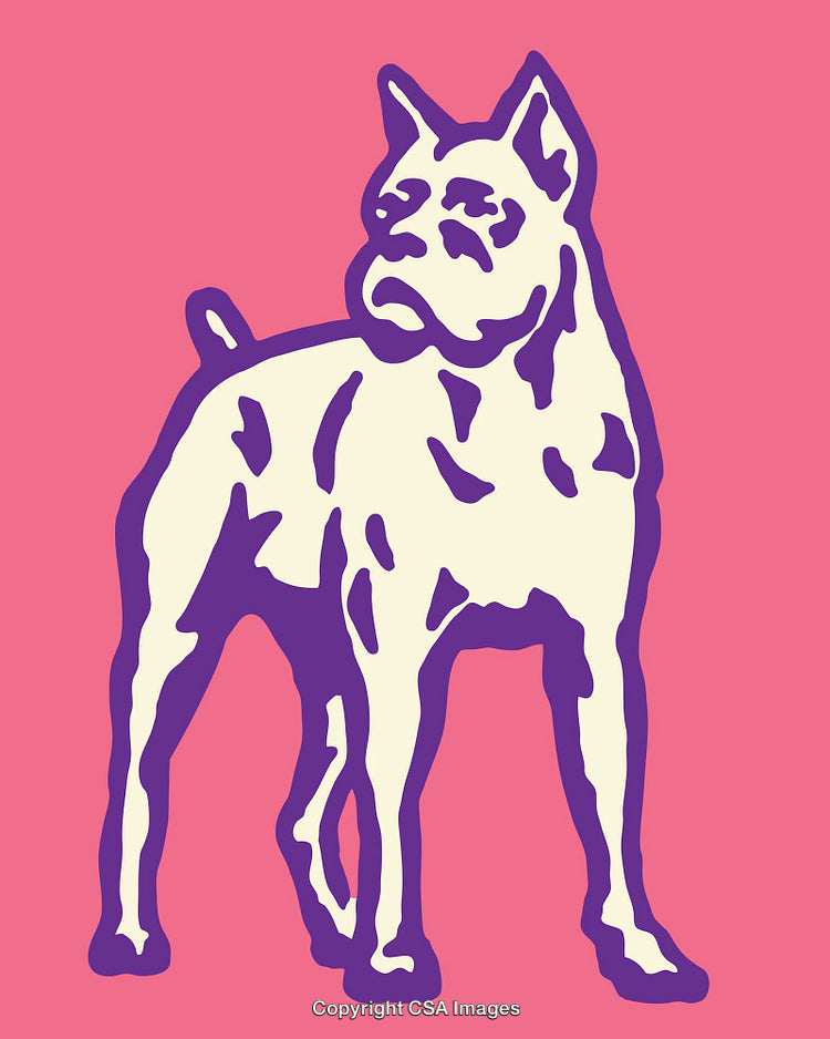 Colorful Line Art of a Dog Featuring Bold Outline on Vibrant Background