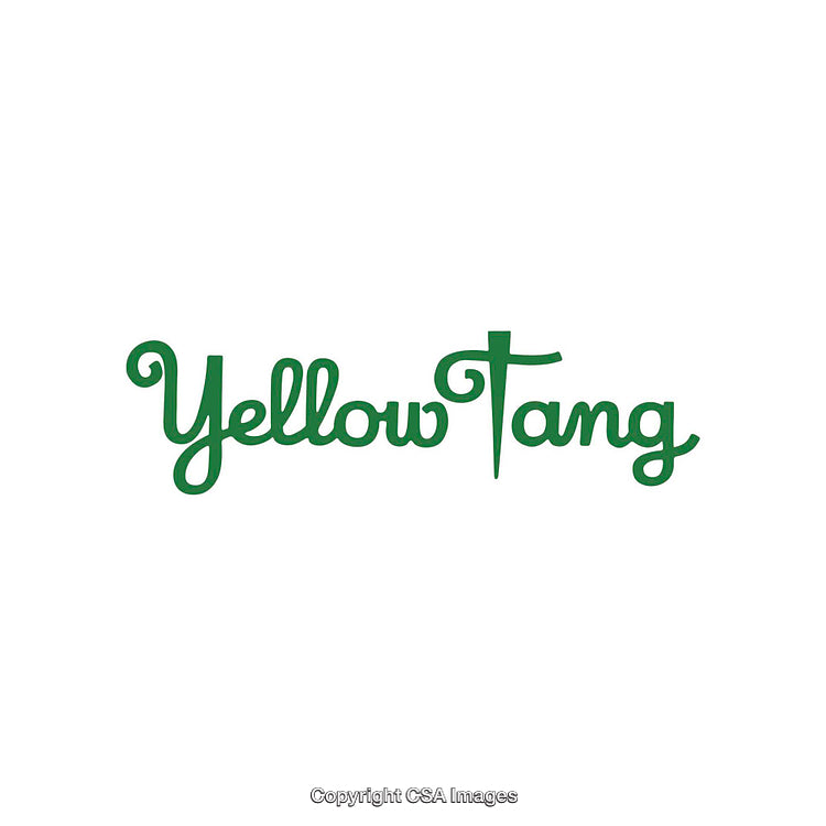 Stylish Green Script Logo Design Displaying Yellow Tang Branding