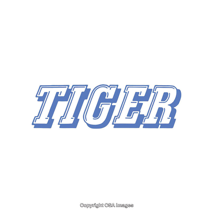Blue Decorative Text Design Featuring The Word 'Tiger' on White Background