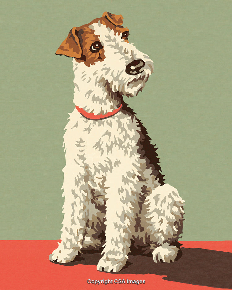 Stylized Illustration of a Fox Terrier Sitting on a Red Surface