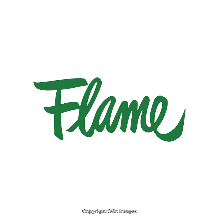 Stylish Green Script Logo Featuring the Word 'Flame' on a White Background
