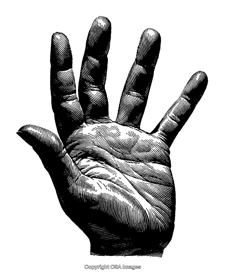 Highly Detailed Black and White Hand Engraving Illustration