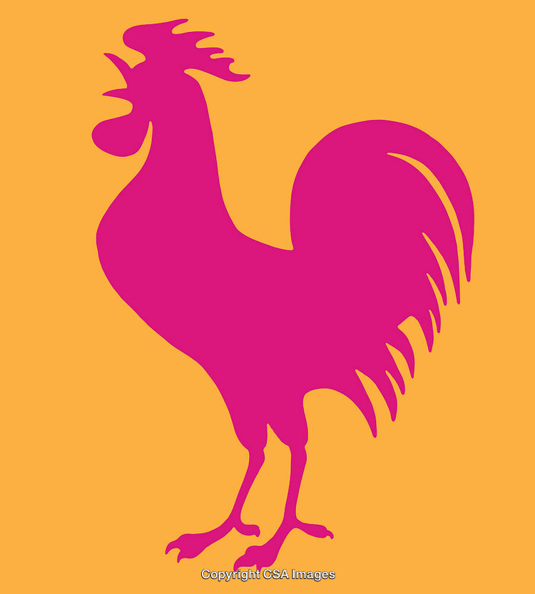 Vibrant Rooster Silhouette on a Bold Colored Background
