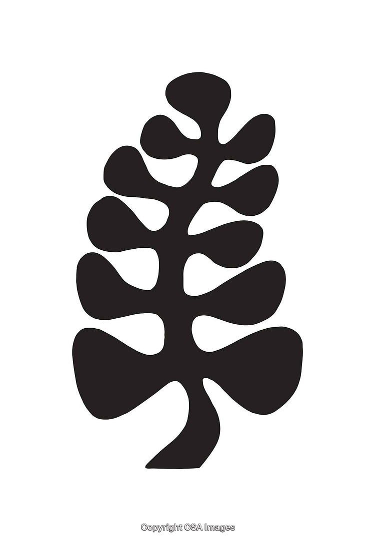 Abstract Black and White Modern Line Art Botanical Composition