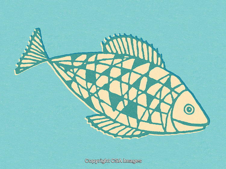 Hand-Drawn Fish Illustration with Geometric Details on a Vibrant Blue Background