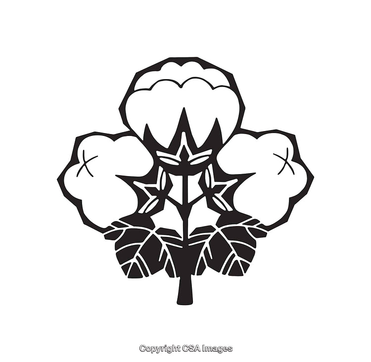 Black and White Line Art Illustration of a Cotton Boll Symbol