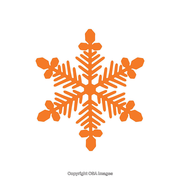 Orange Snowflake Icon on a White Background Design Element