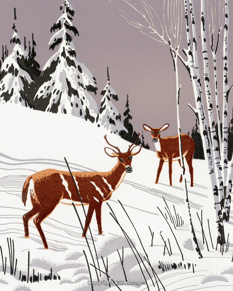 Illustration of Deer in a Snowy Winter Forest Landscape