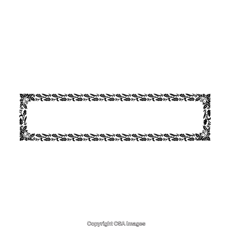 Elegant Black and White Decorative Rectangular Floral Border