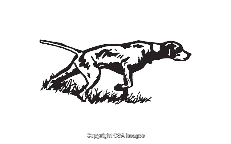 Black and White Line Art of a Pointing Hunting Dog in Grass