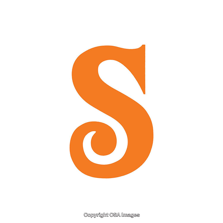 Orange Decorative Letter S Isolated on a White Background