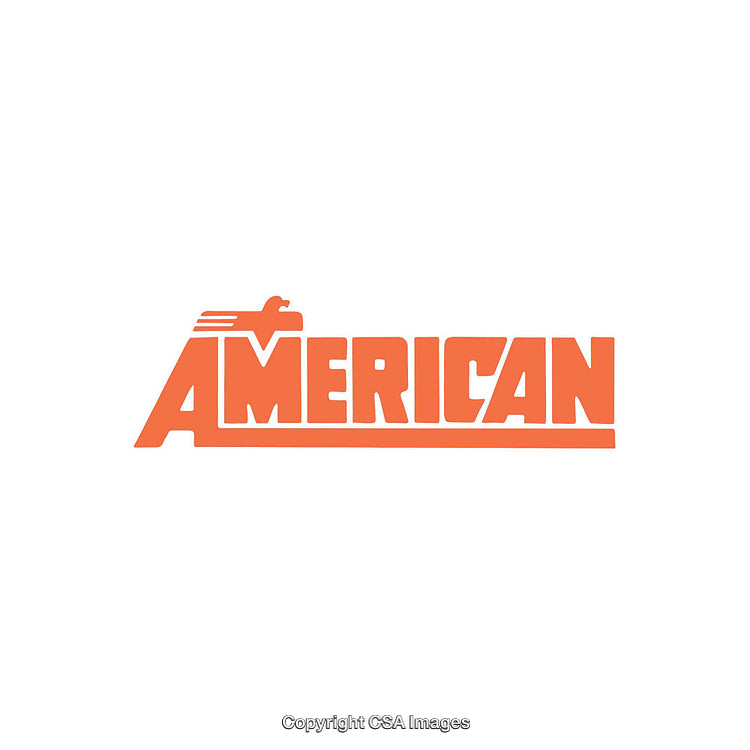 Bold Graphic Typography Reading American in Orange on White Background