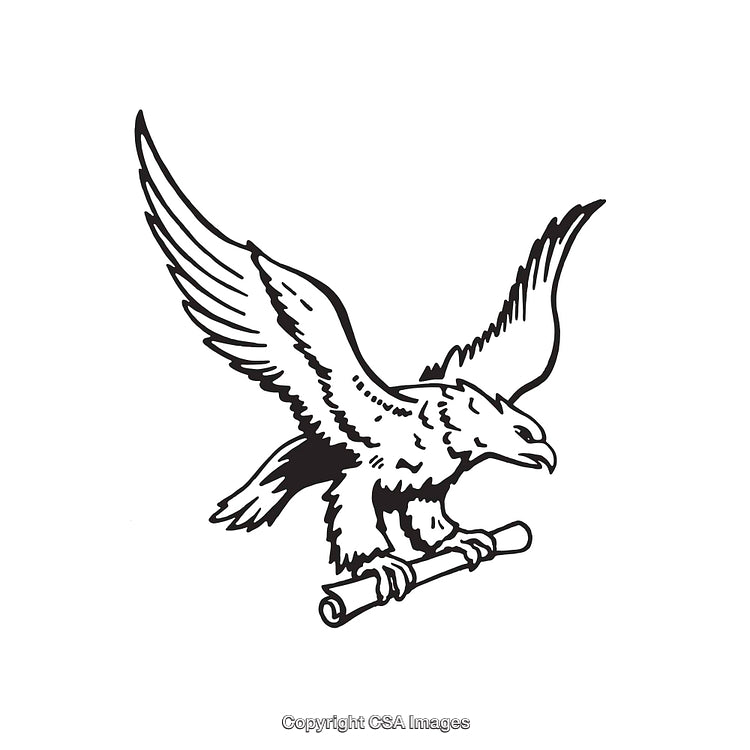 Eagle Carrying Scroll Line Art in Black and White Design
