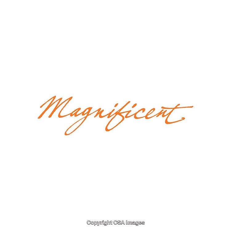 Elegant Handwritten Orange Script on White Background Depicting the Word Magnificent