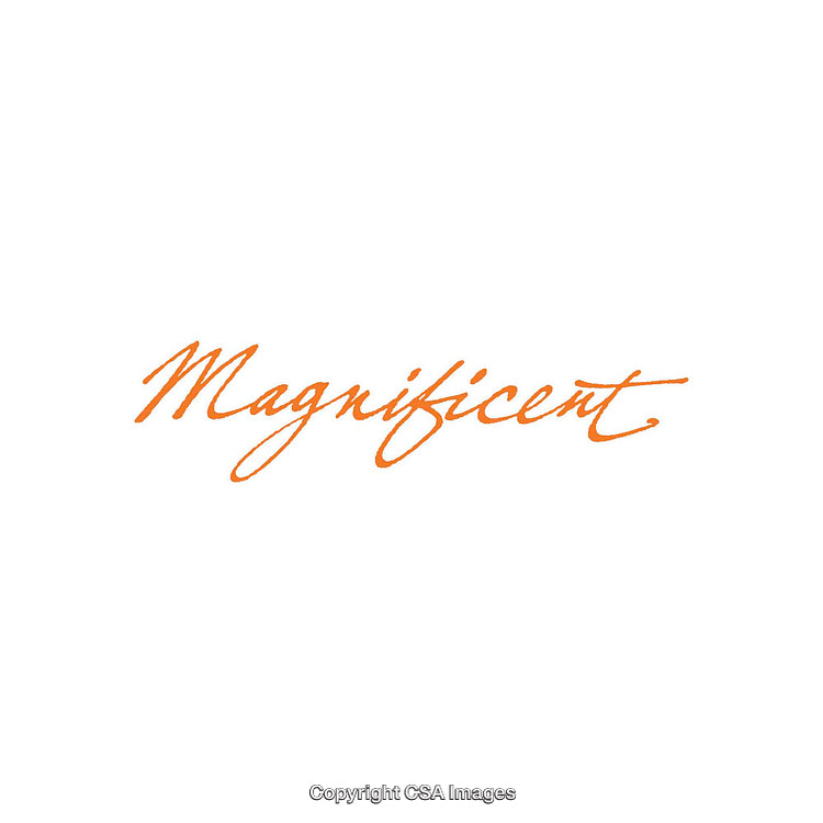 Elegant Handwritten Orange Script on White Background Depicting the Word Magnificent