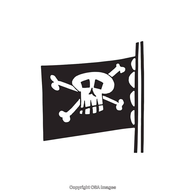 Black and White Pirate Skull and Crossbones Flag Illustration