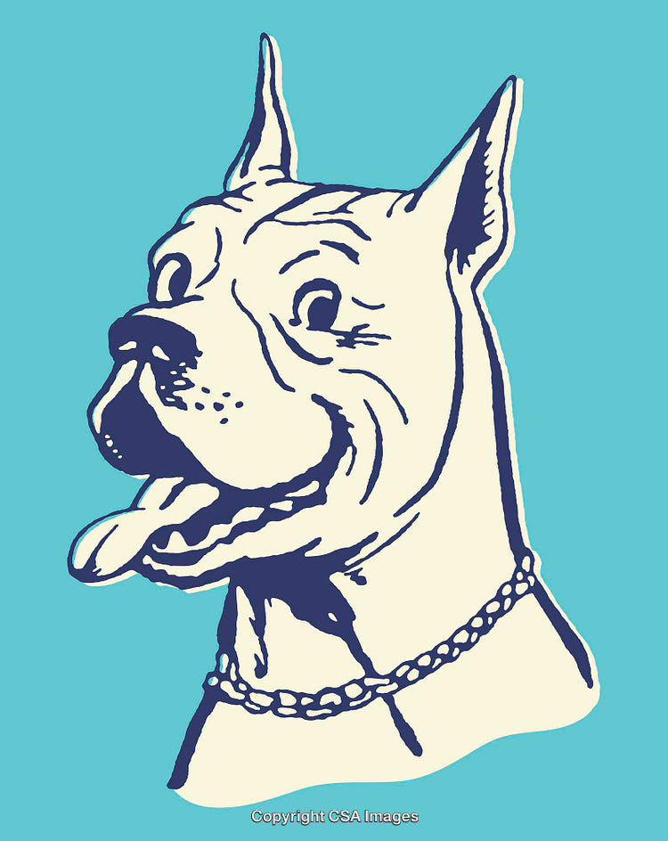 Colorful Line Art Illustration of a Dog with Chain Collar on Blue Background
