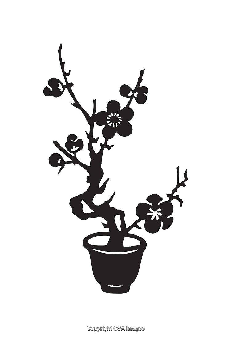 Black and White Illustration of a Flowering Potted Plant