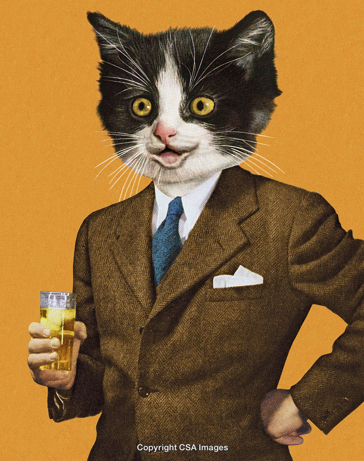 Anthropomorphic Cat in a Suit Holding a Glass Against Orange Background